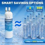 DESENRUIS Water Filter Replacement, Pack of 2