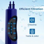 Golden IcePure RFC6600A Refrigerator Water Filter