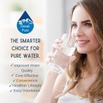 Inglis Refrigerator Water Filter 2-Pack Replacement