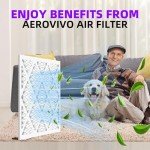 MERV 13 Air Filter 20x30x1 (6-Pack)