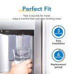 ICEPURE UKF7003 Water Filter Replacement Cartridge