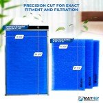 RAYAIR 16x30 Replacement Filter Pads - 3 Pack