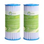 10" Whole House Pleated Sediment Filter – 2 Pack