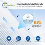 10" Whole House Pleated Sediment Filter – 2 Pack