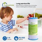10" Whole House Pleated Sediment Filter – 2 Pack