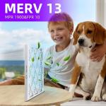 MERV 13 Pleated Air Filter 12-Pack