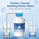 MWF Water Filter Compatible with GE and Kenmore