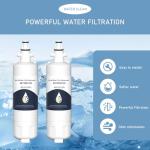 Blomberg Beko 4874960100 Water Filter 2 Pack