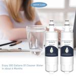 Blomberg Beko 4874960100 Water Filter 2 Pack