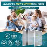 Torjim 12x24x1 Washable MERV8 Air Filter