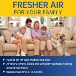 MERV 13 Replacement Air Filter for HealthyAir
