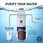 Mist ADQ74793501 Water Filter for LG & Kenmore