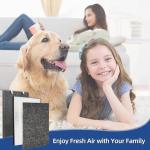 Bissell Air220/320 Replacement Filters - 2 Pack