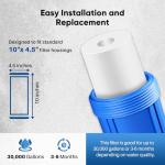 PUREPLUS 5 Micron Whole House Water Filter 2-Pack