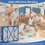 Bryant/Carrier Infinity MERV 16 Filter Replacement