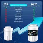 Golden IcePure Refrigerator Filter 4-Pack