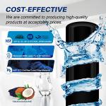 Golden IcePure Refrigerator Filter 4-Pack