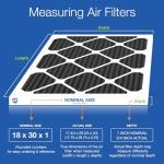 Nordic Pure 18x30 Carbon Pleated Air Filters 4 Pack