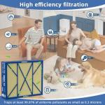 Pet Care Filter for Bryant/Carrier Infinity Air Cleaner
