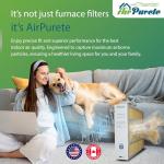 M8-1056 Replacement Filter Pack of 2