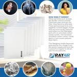 RAYAIR 20x30 Replacement Filter Pads for Respicaire