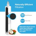 Brio Refrigerator Filter for Fisher & Paykel 847200
