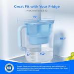 Waterdrop 10-Cup Filter Pitcher with 3 Filters