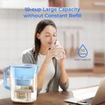 Waterdrop 10-Cup Filter Pitcher with 3 Filters