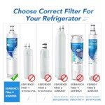 ICEPURE Water Filter Replacement for EveryDrop 2-Pack