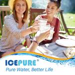 IcePure Refrigerator Water Filter Replacement 3-Pack