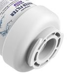 Amazon Basics Water Filter Cartridge for GE MWF