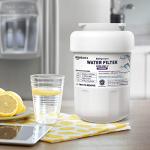Amazon Basics Water Filter Cartridge for GE MWF