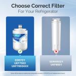 ICEPURE NSF 42 Water Filter Replacement - 4 Pack