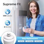 ICEPURE NSF 42 Water Filter Replacement - 4 Pack