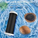 Whirlpool Everydrop EDRARXD1 Filter A (2 Pack)