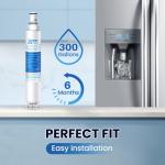 IcePure EDR6D1 Water Filter Replacement 2-Pack