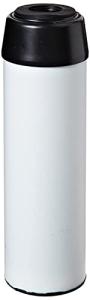 Pentair TSGAC-10 Under Sink Carbon Water Filter