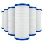 EcoAqua AP810 Filter Replacement, 6-Pack