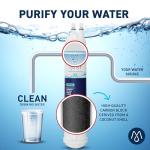 EveryDrop Filter 3 Replacement Water Filter 1 Pack