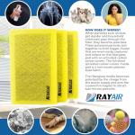 RAYAIR 14x30 Replacement Filter Pads - 3 Pack