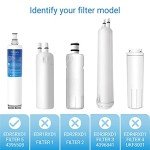 EcoAqua 6002A Filters 2-Pack for Whirlpool 4396508