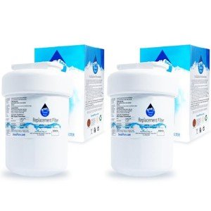 Hotpoint HSS25GFPJWW Refrigerator Water Filter 2-Pack