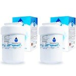 Hotpoint HSS25GFPJWW Refrigerator Water Filter 2-Pack