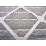Pamlico Air Filter (20x24x4) Merv 8