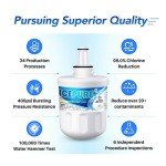ICEPURE Replacement Water Filter for Samsung - 2 Pack