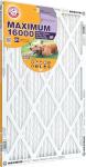 20x20x1 Arm and Hammer; Max Allergen Air Filter, MERV 11 (4-pack)