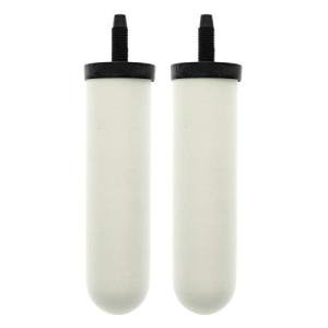 Doulton Super Sterasyl Ceramic Water Filters - 2 Pack