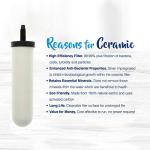 Doulton Super Sterasyl Ceramic Water Filters - 2 Pack