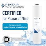 Pentair CBC-10 Under Sink Carbon Water Filter