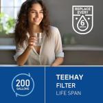 TEEHAY WF3CB Water Filter Replacement - 4 Pack